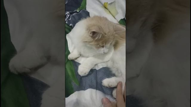 Когда выходишь из ванной, а у тебя гости 🙈🫠