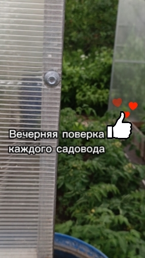Немного юмора вам в ленту 🤣