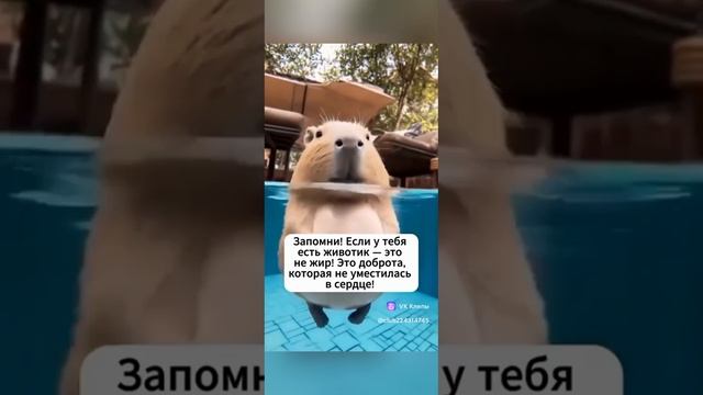 любите себя
