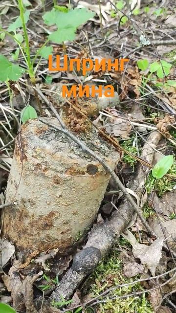немецкая шпринг мина #копповойне #металлоискатель #ме?