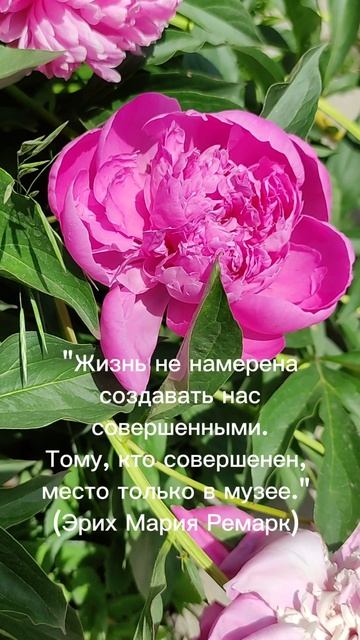 Обязана ли нам чём-то жизнь?