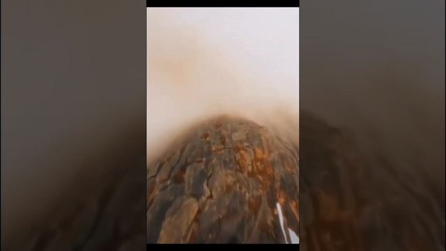 Путь