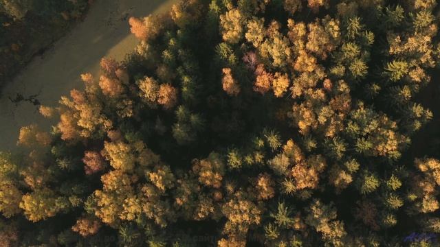 Пейзажи дарят восторг сильнее любого полёта - Moms Garage -- SUPERARE -- VI