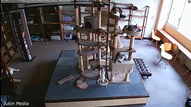 Самые НЕВЕРОЯТНЫЕ видео!