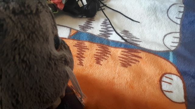 Собираем вещи на дачу