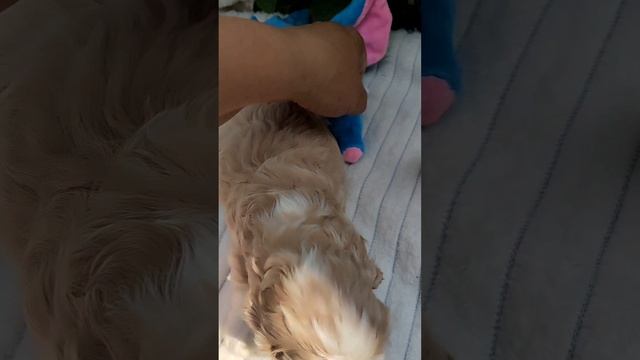1000372222.mp4