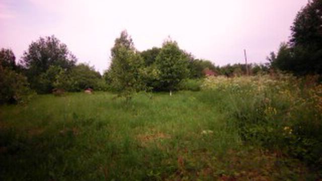 MOV00058
