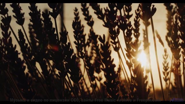 Этот трек станет вашим любимым под фоны - Secret Hopes -- Anthem of Rain -- Unnamed album