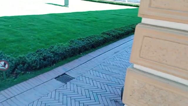 прогулка по Летнему саду Петра первого и дворец Петра первого