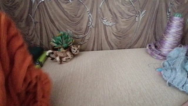 Ну вот 😂и опять двадцать пять