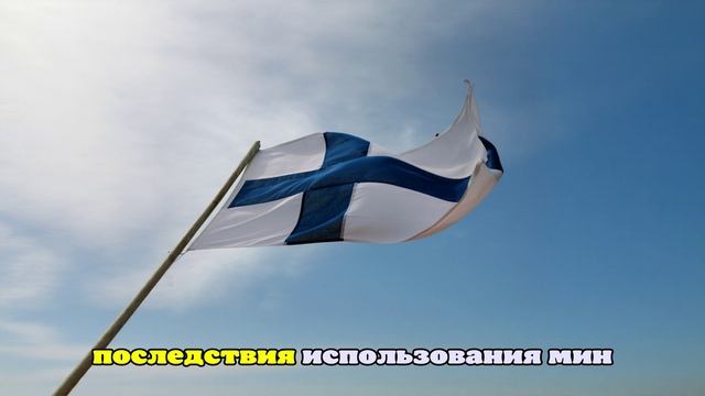 Reuters: Финляндия завершила расследование повреждения кабеля в Балтийском море