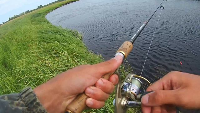 Эта РЕЧКА забита щукой.Ловля щуки на лёгкий джиг и вертушку