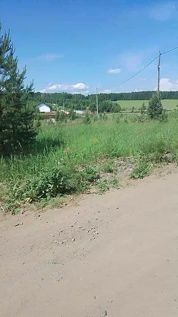 VID_20250613_113150