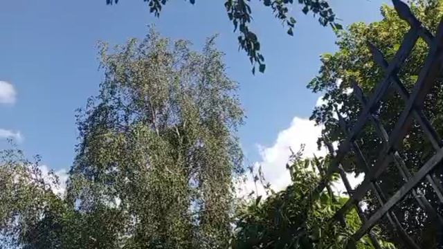 1000008313.mp4