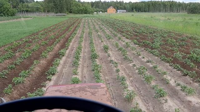 20250610_165312.mp4