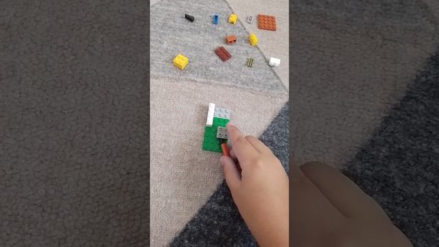 1000012668.mp4