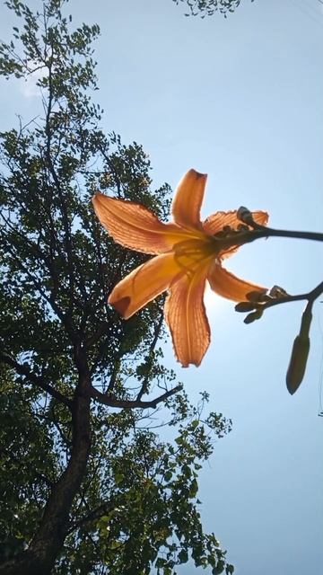13.06.2025 #сегоднятак #природа #прырода #табиғ #自然 #natureza #natura #자연 #طبيعة #प्रकृति #nature