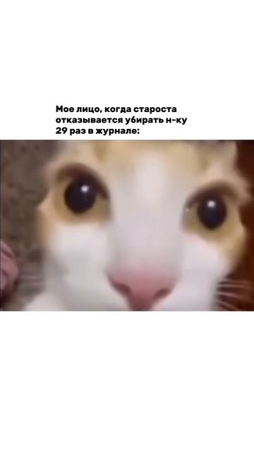 Это последний раз