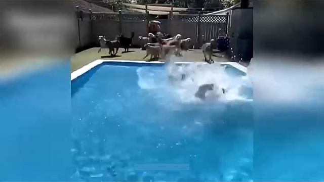 Всячинки
