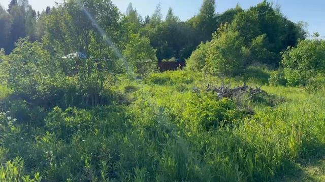 Еловый Бор 1_КН3200