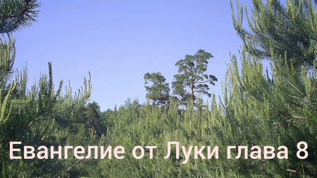 Библия Евангелие от Луки глава 8