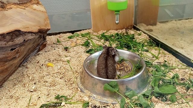 1000001026.mp4