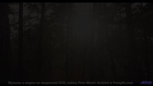 Взгляд прилипает к экрану, пока играет такая композиция - Daisy (EDM  Instrumental) -- Zight -- Unna