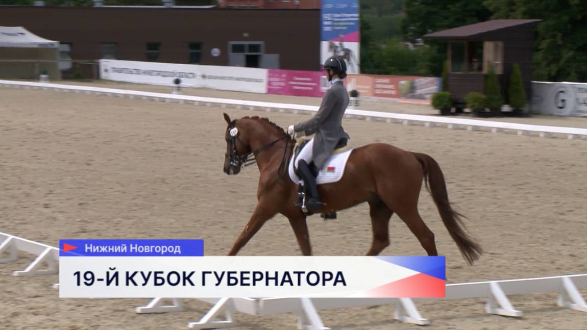 В конно-спортивном комплексе «Пассаж» прошёл Кубок Губернатора и этап Кубка России по выездке