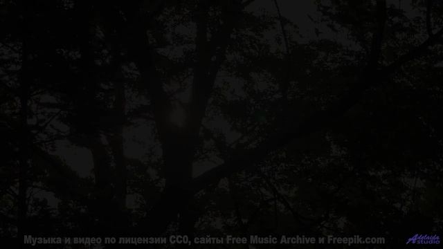 Как можно жить, не видя этой красоты! - Oxforf_by_Night -- Koi-discovery -- Ante-Chrysalide