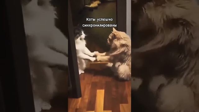 Синхронизация