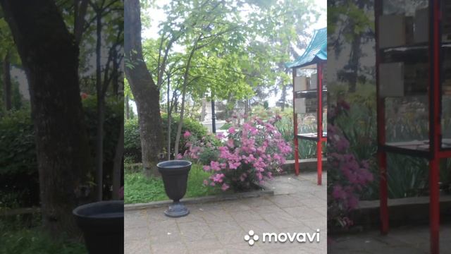 туапсе