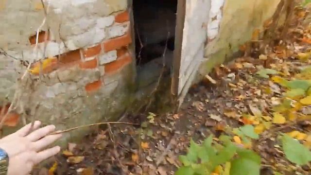 Заброшенная усадьба Бохвицей в Павлиново (Барановичский р-н, Брестская обл.)