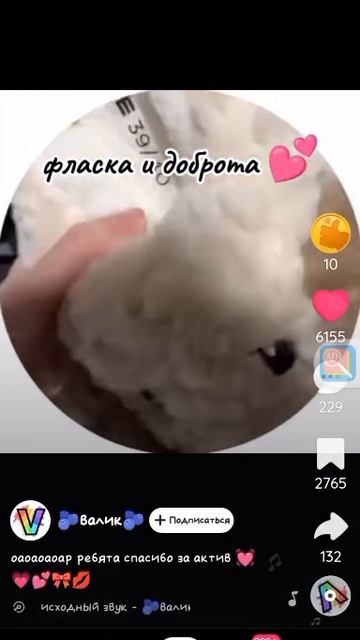 Фласка и Скреч