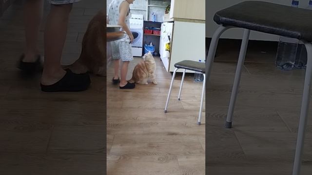 игры
