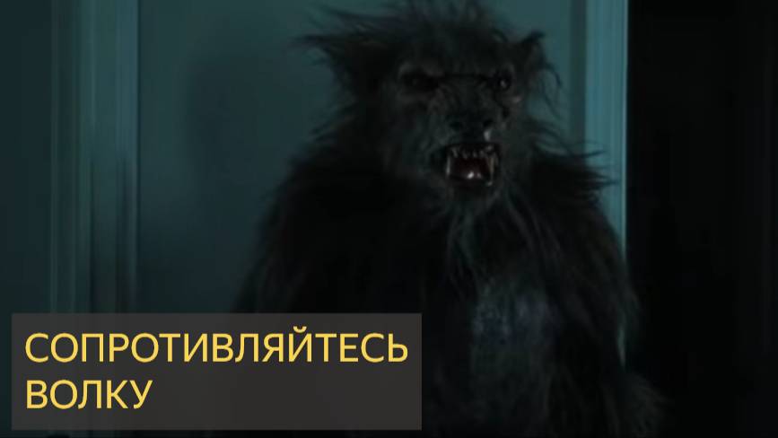 Сопротивляйтесь ВОЛКУ