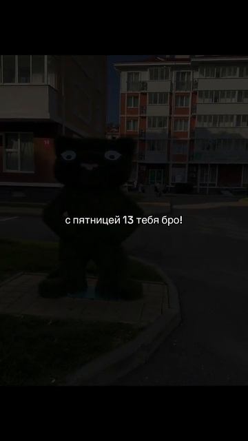1000013226.mp4