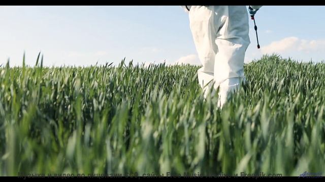 Мелодия ведёт сквозь горы, поля и реки - Angelita ft. Nitty Scott + Ryan Herr -- The Polish Ambassad