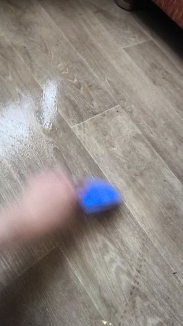 клининг к вашим услугам.