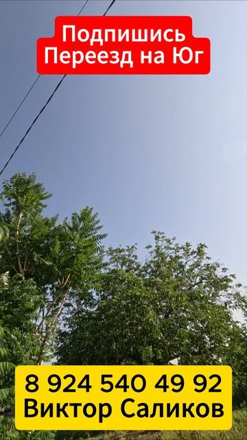 🏡 До МОРЯ 60 км !📋 70 м2 40 соток💰3 000 000 ₽ 📍ст.Новоминская📲 8 924 540 49 92 🌴 Виктор