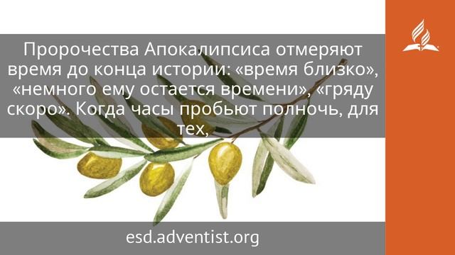 13 июня 2025. Блаженны умирающие в Господе. Под сенью благодати | Адвентисты