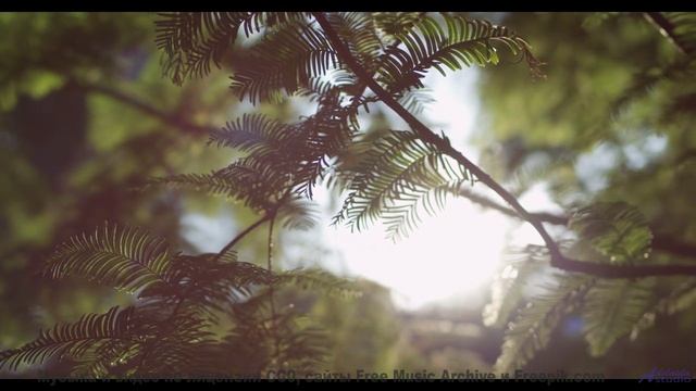 Это видео - как погружение в океан спокойствия! - Moving On From The Past -- Kirk Osamayo -- Season