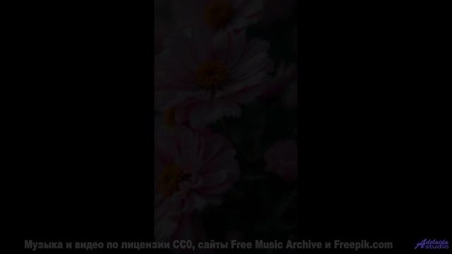 Леса, поля и трек, что покорит душу - the world is thicker than one hundred men -- los pilotos -- nu