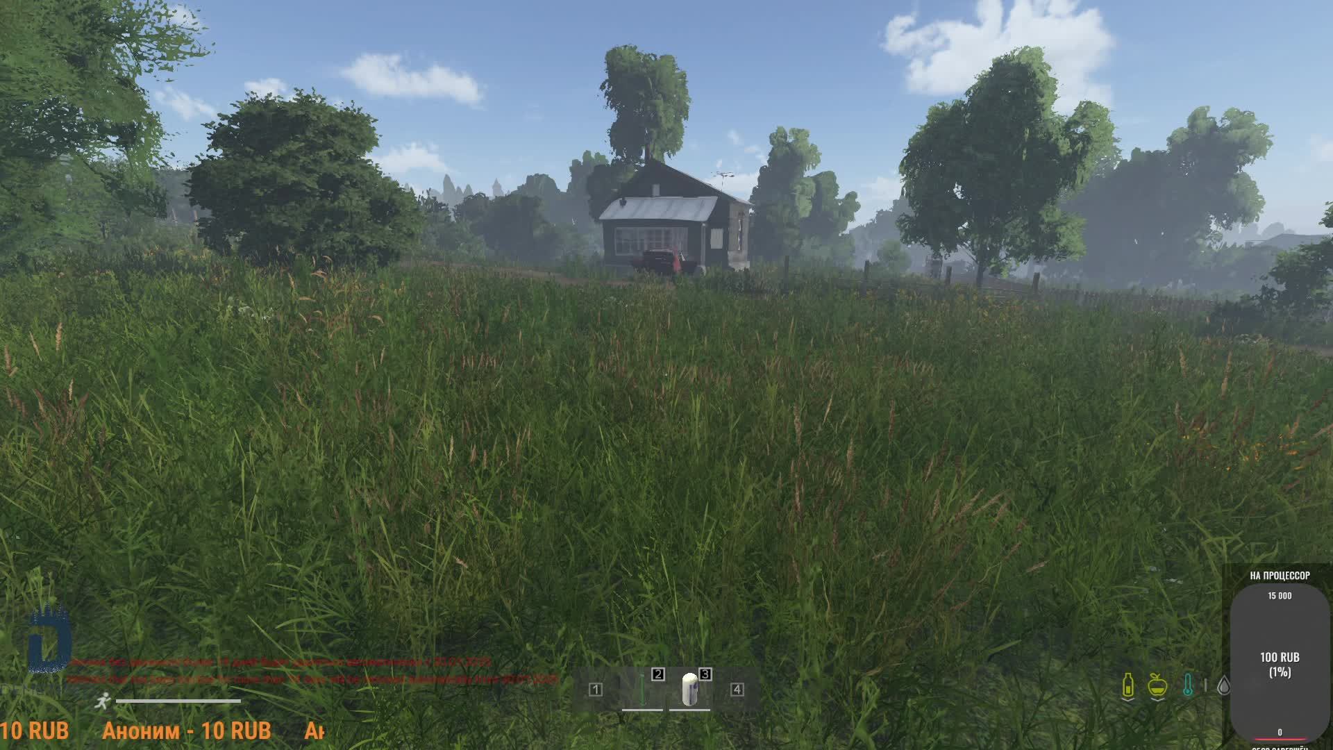 Dayz
