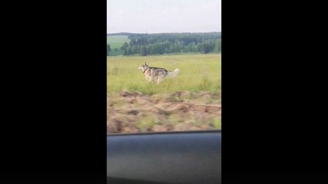 Video_250613133109_clip001_2025-06-13_13-52-07