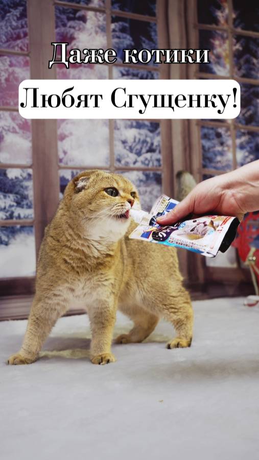 😻Лакомство с заботой