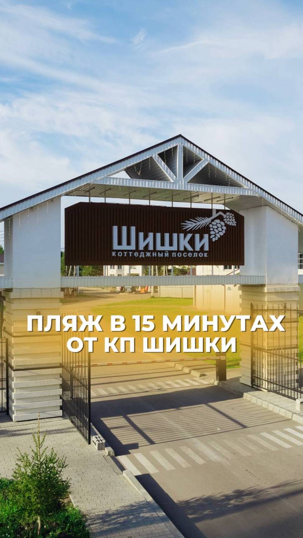 🏖️ Пляж с видом на сосновый лес : читайте описание