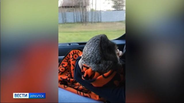 Краснокнижную неясыть спасли в Усольском районе