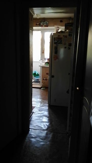 VID_20250614_060308.mp4