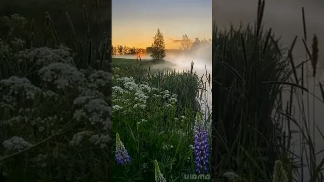 Там где поёт душа.