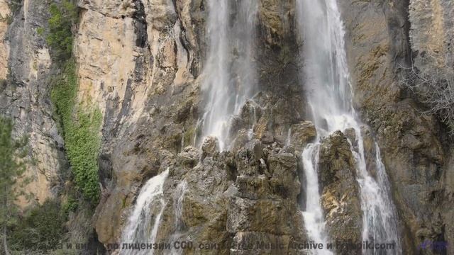 Поля колышутся в ритме! - I Dont Wanna Fall In Love -- Fascinations Grand Chorus -- Live at Monty Ha